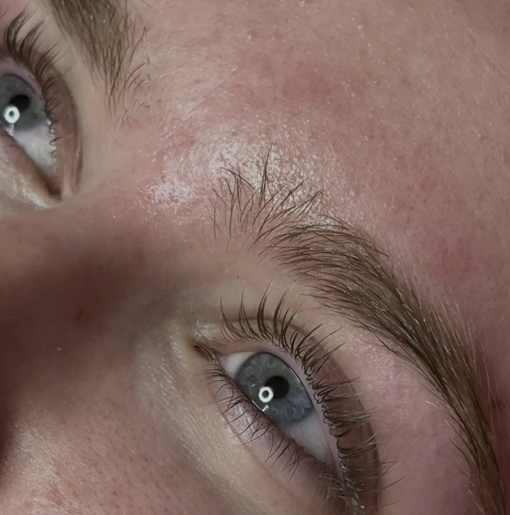 eyebrow waxing and tinting courses