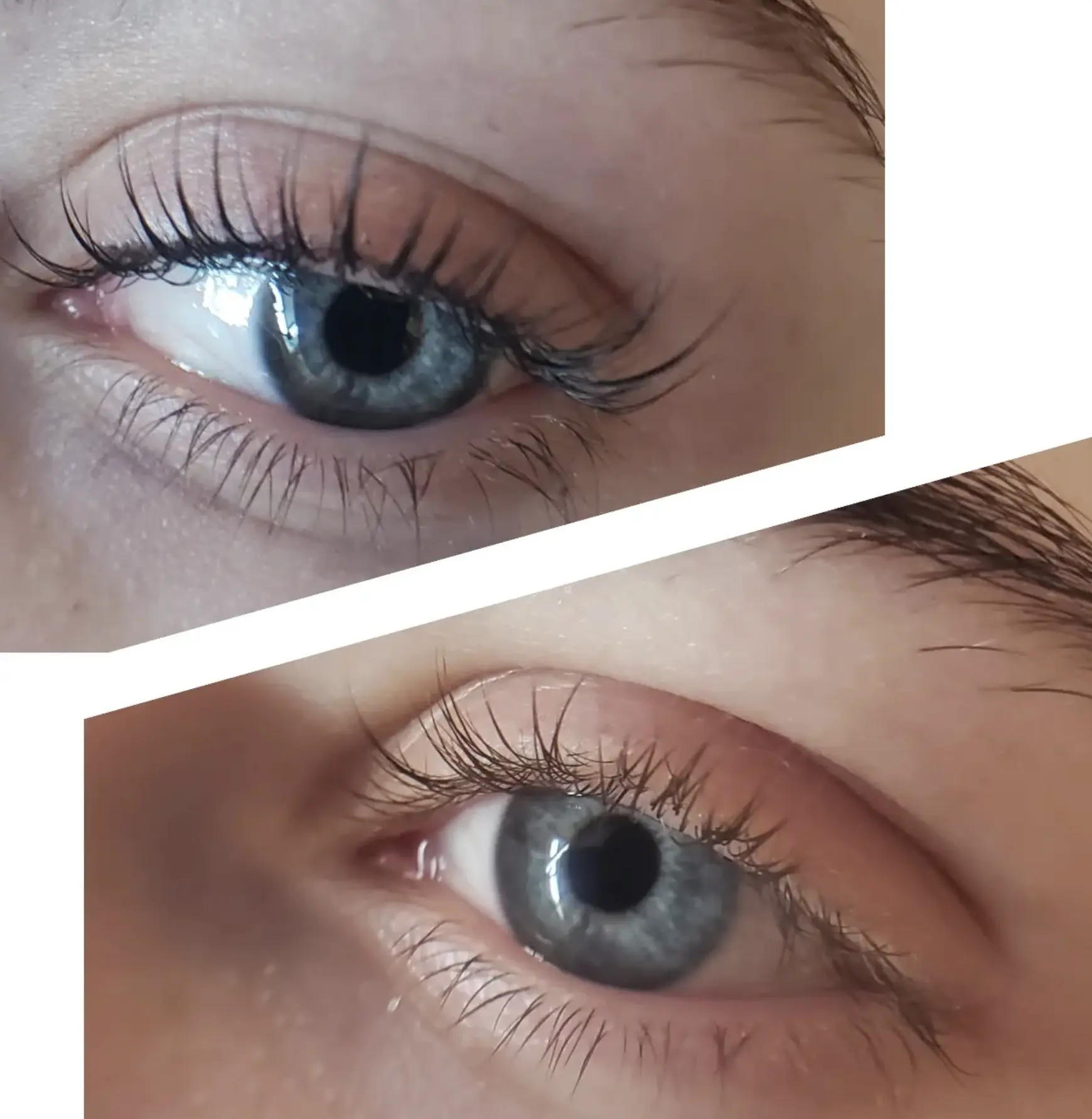 brow and lash lamination course