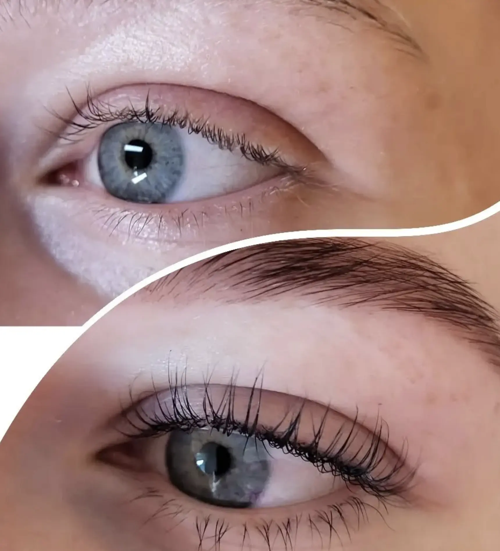 brow and lash lamination kit