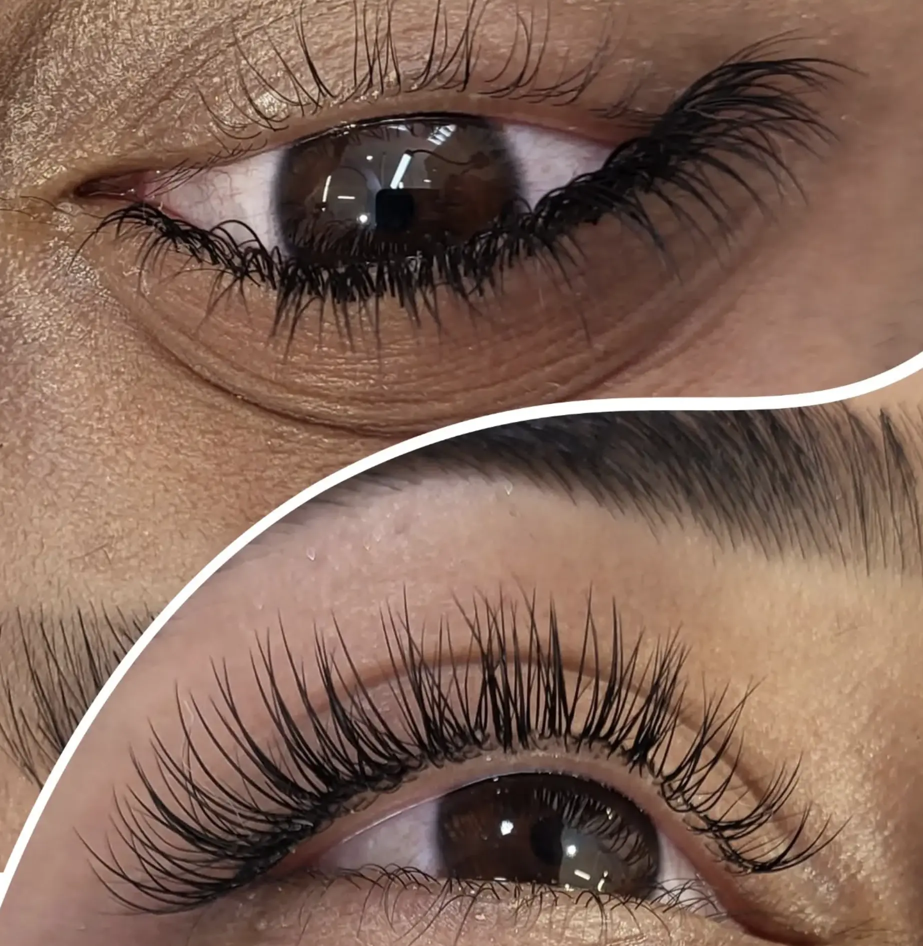 brow and lash lamination