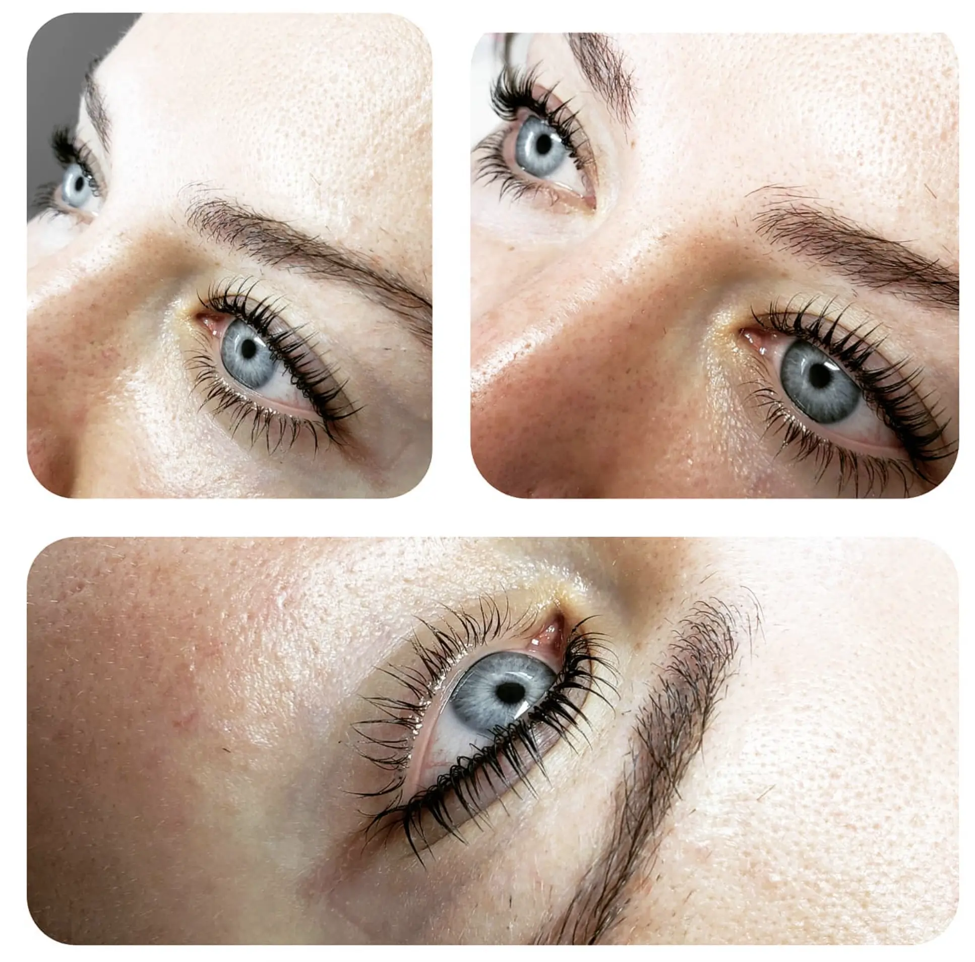 can you use lash lamination on brows