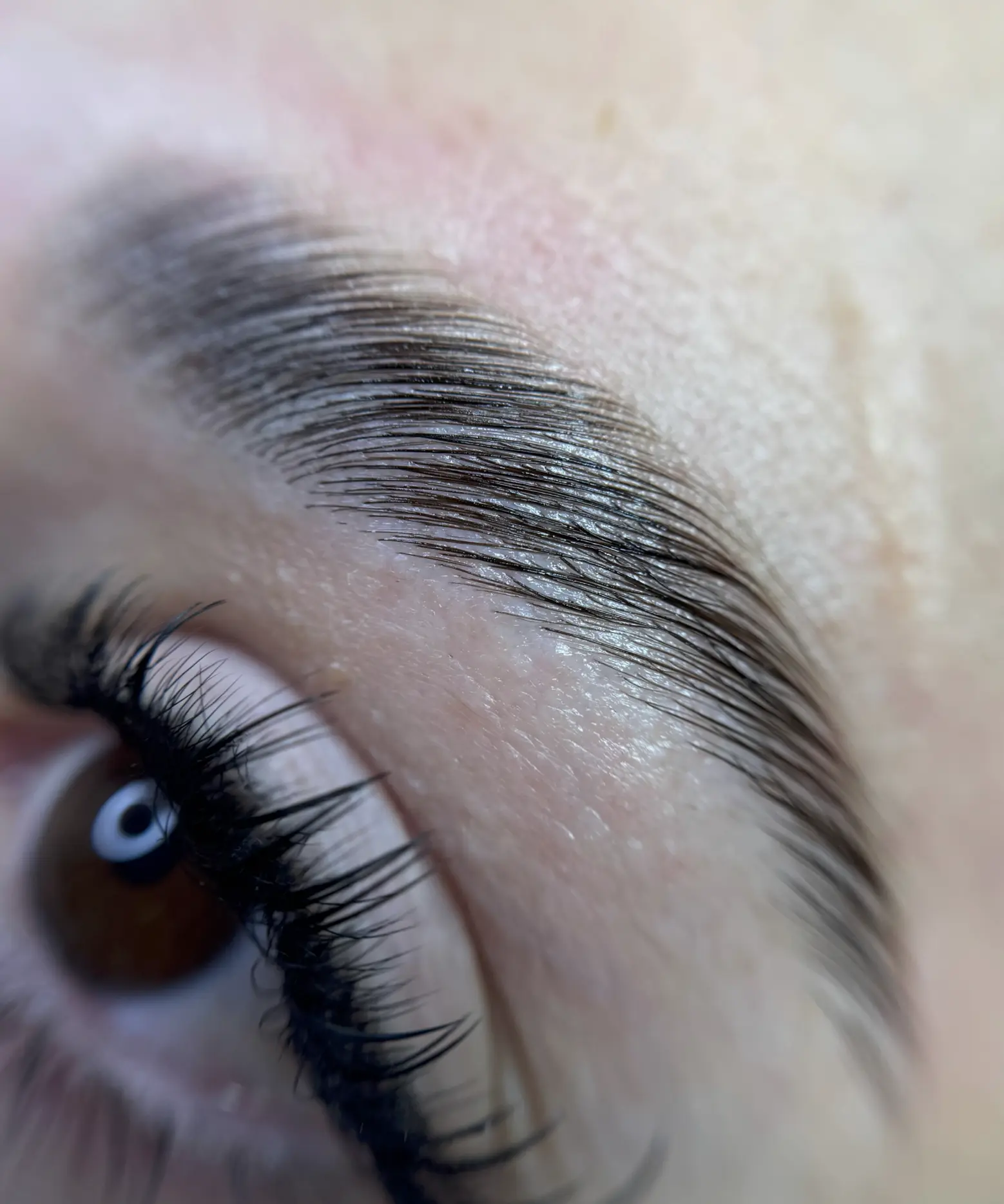 ibrow beauty reviews