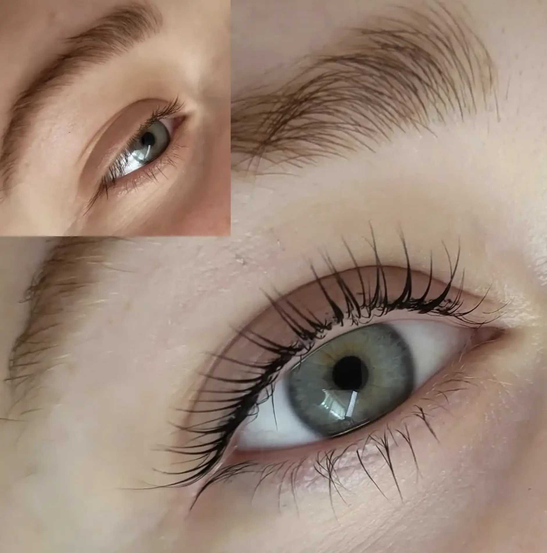 lash and brow lamination kit