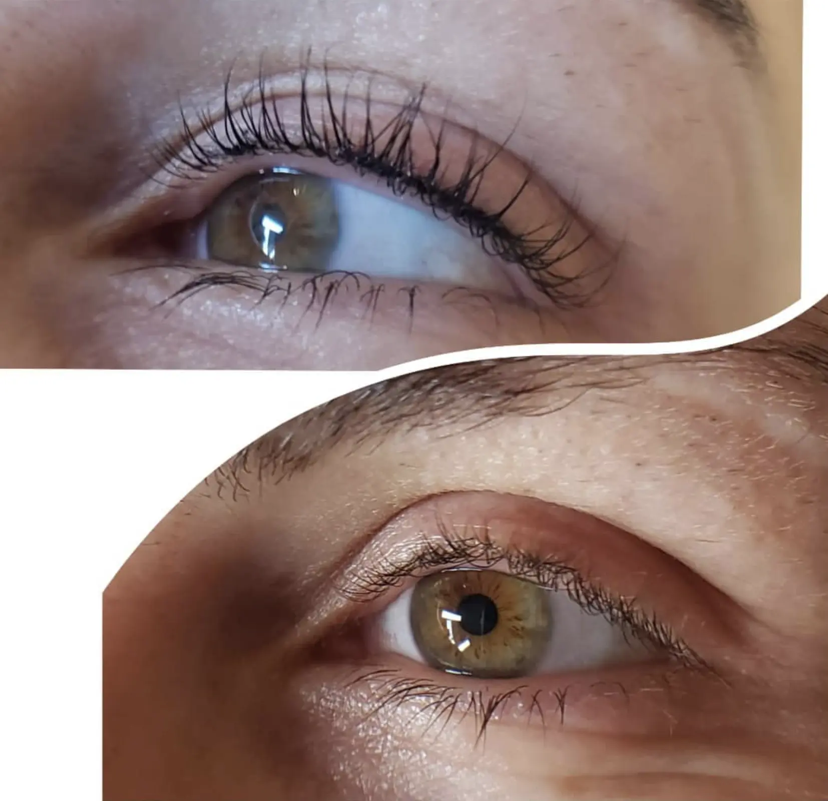 lash and brow lamination near me