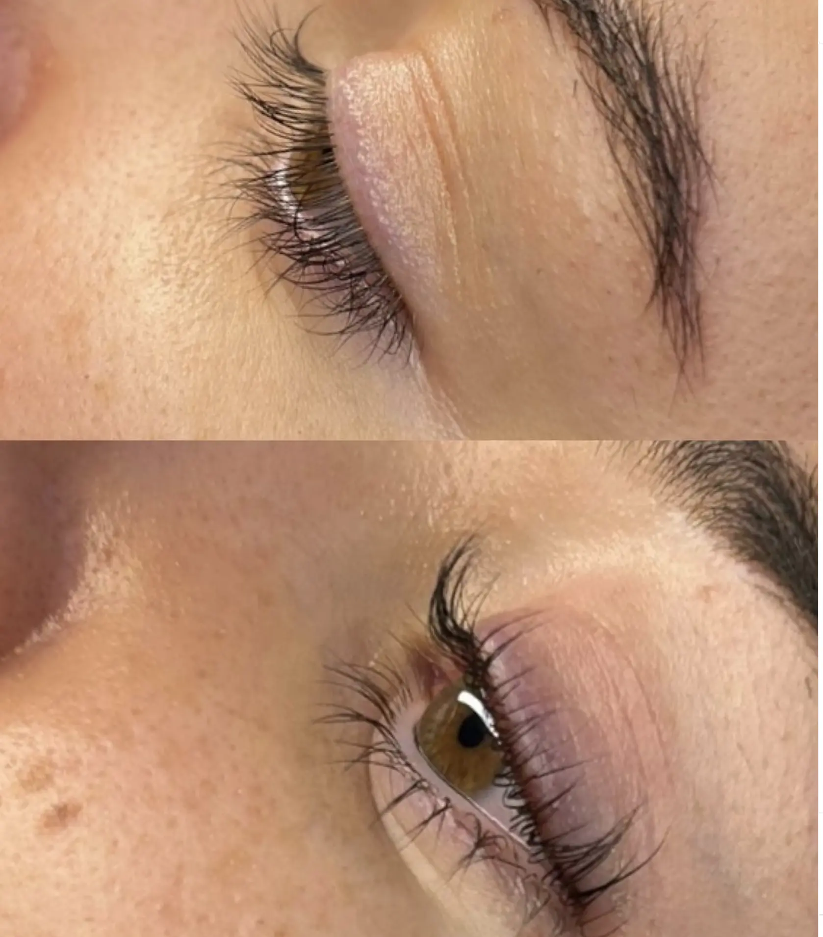 lash bomb brow lamination instructions