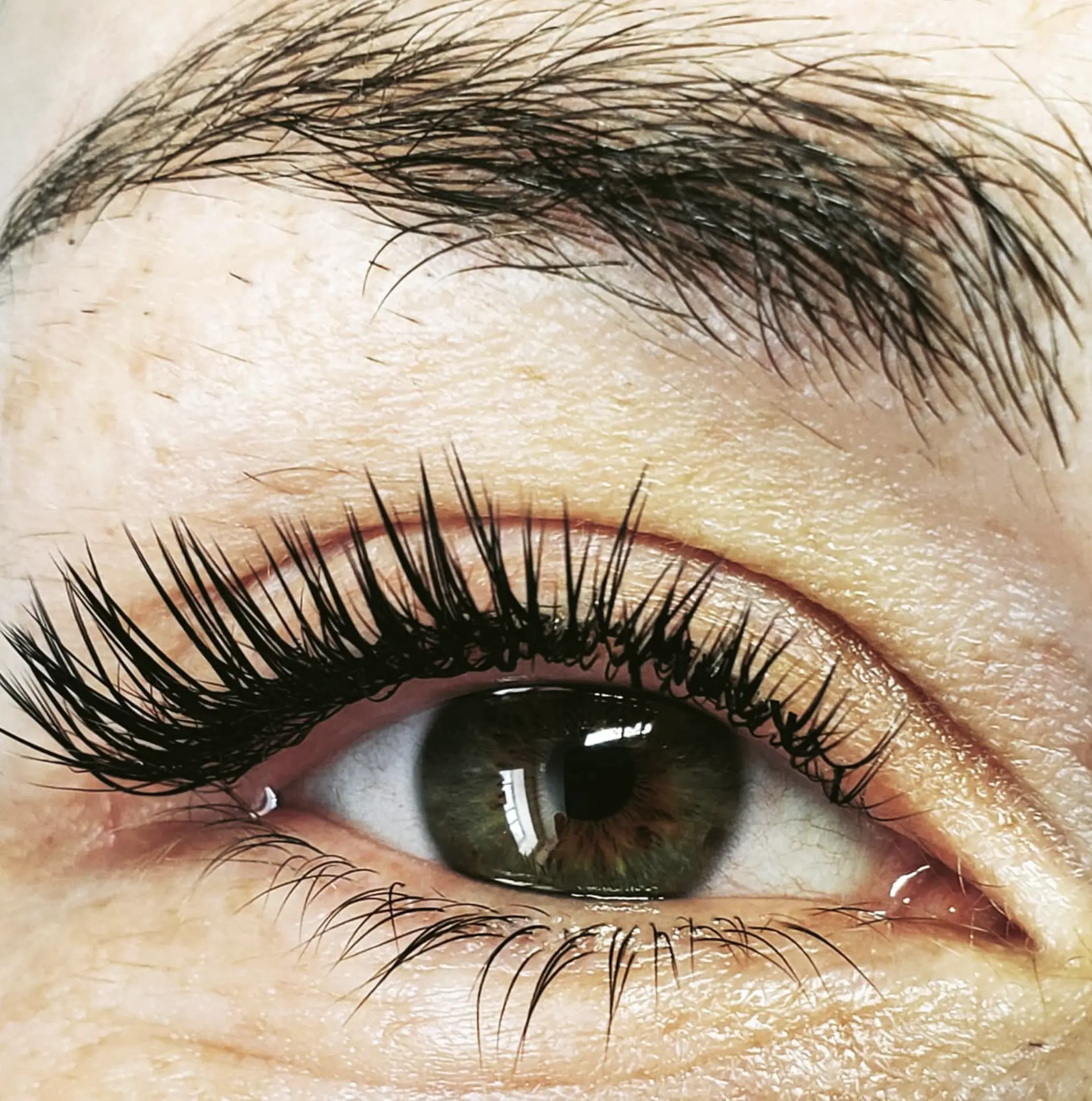 lash lamination meaning