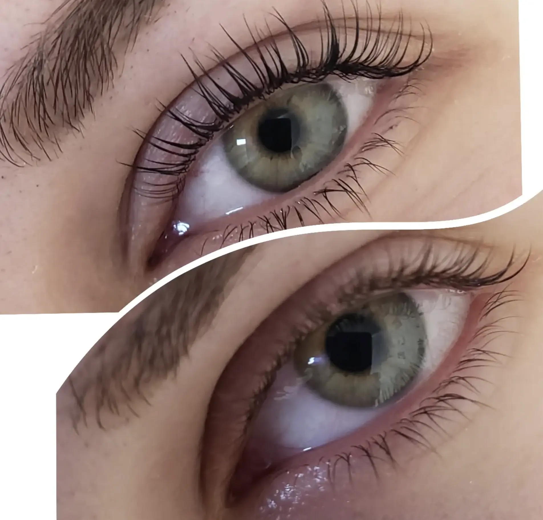 lash lamination near me