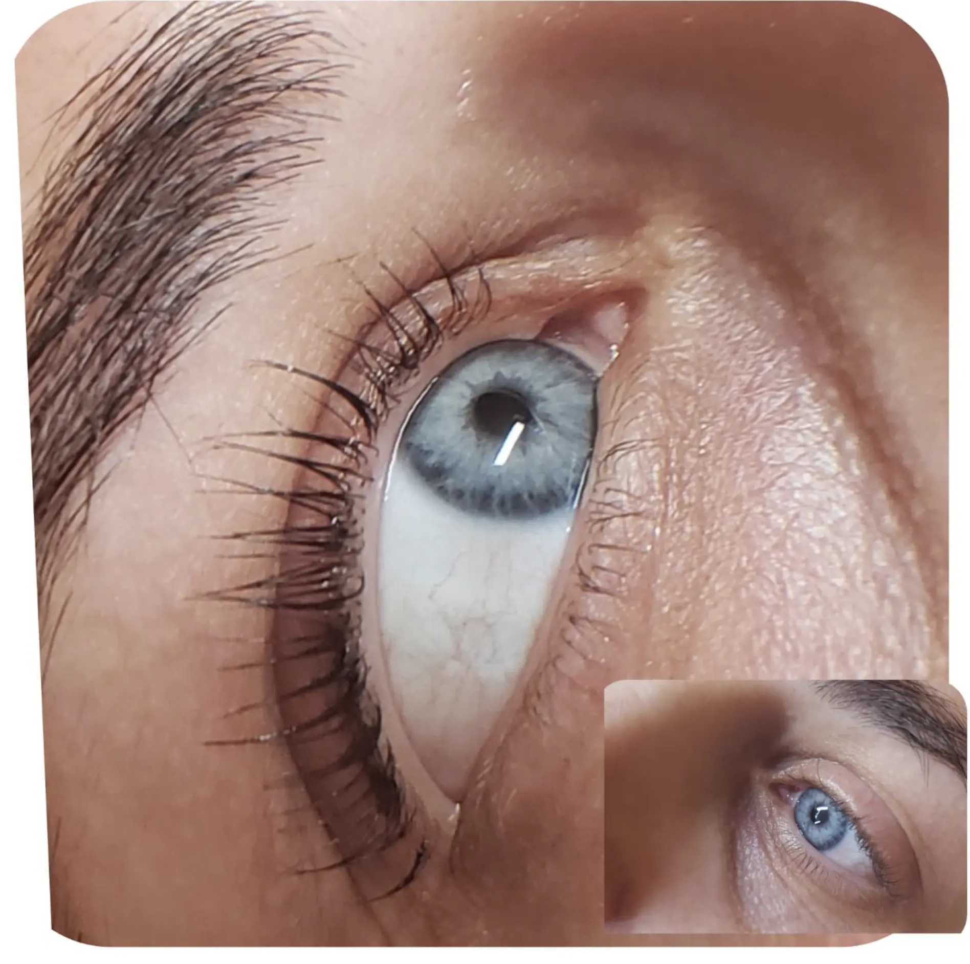 lash lamination set