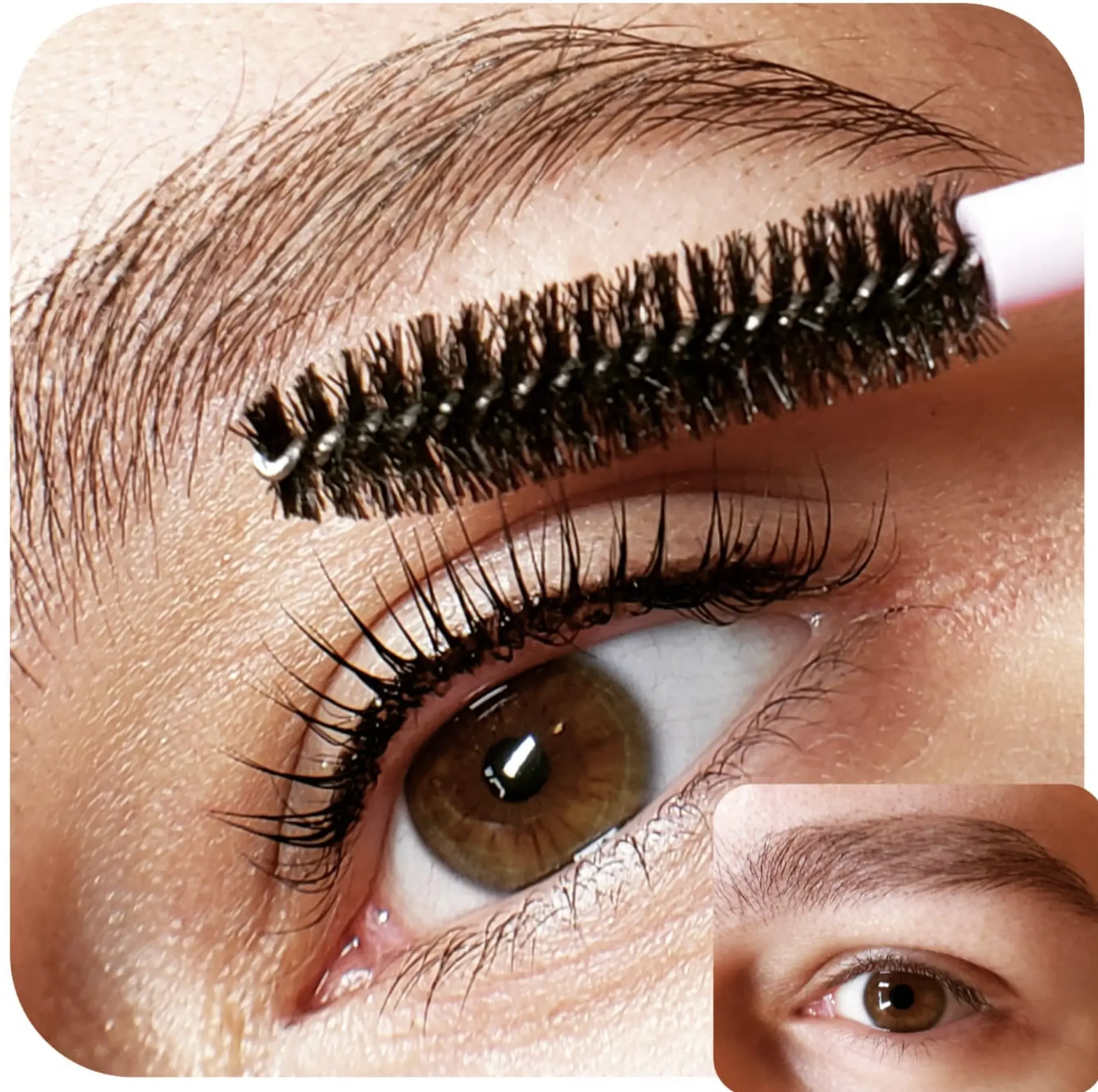 lash lamination vs lift