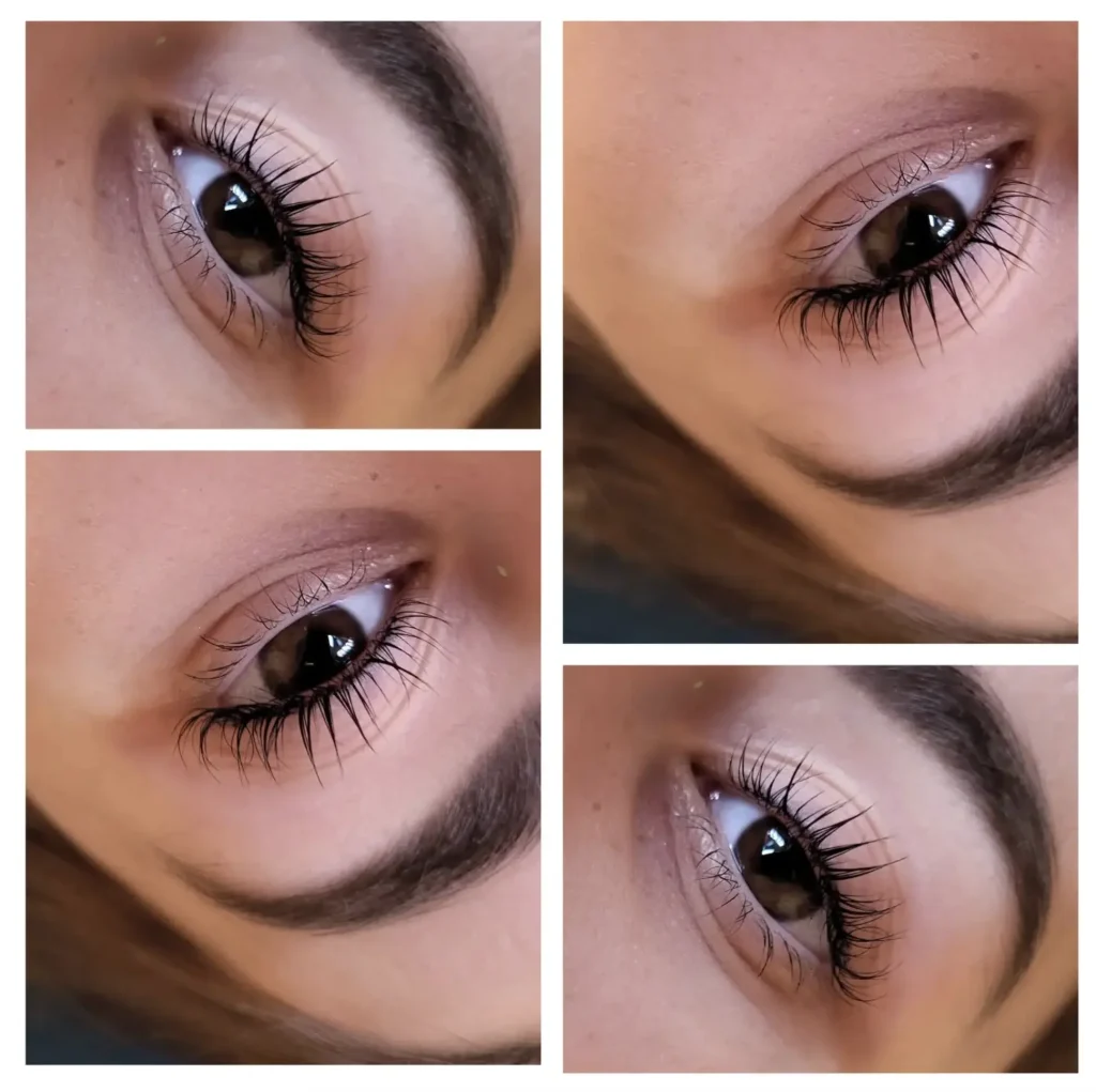 lash lift and brow lamination course
