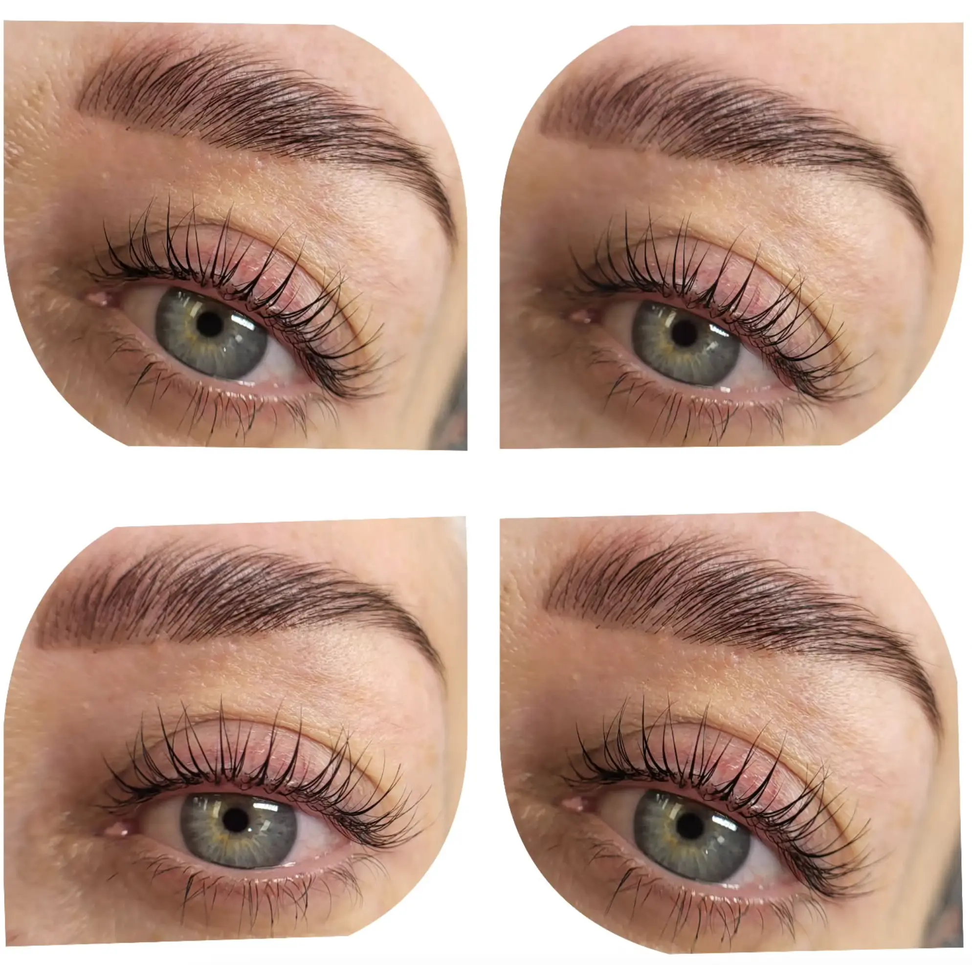 lash lift and brow lamination kit