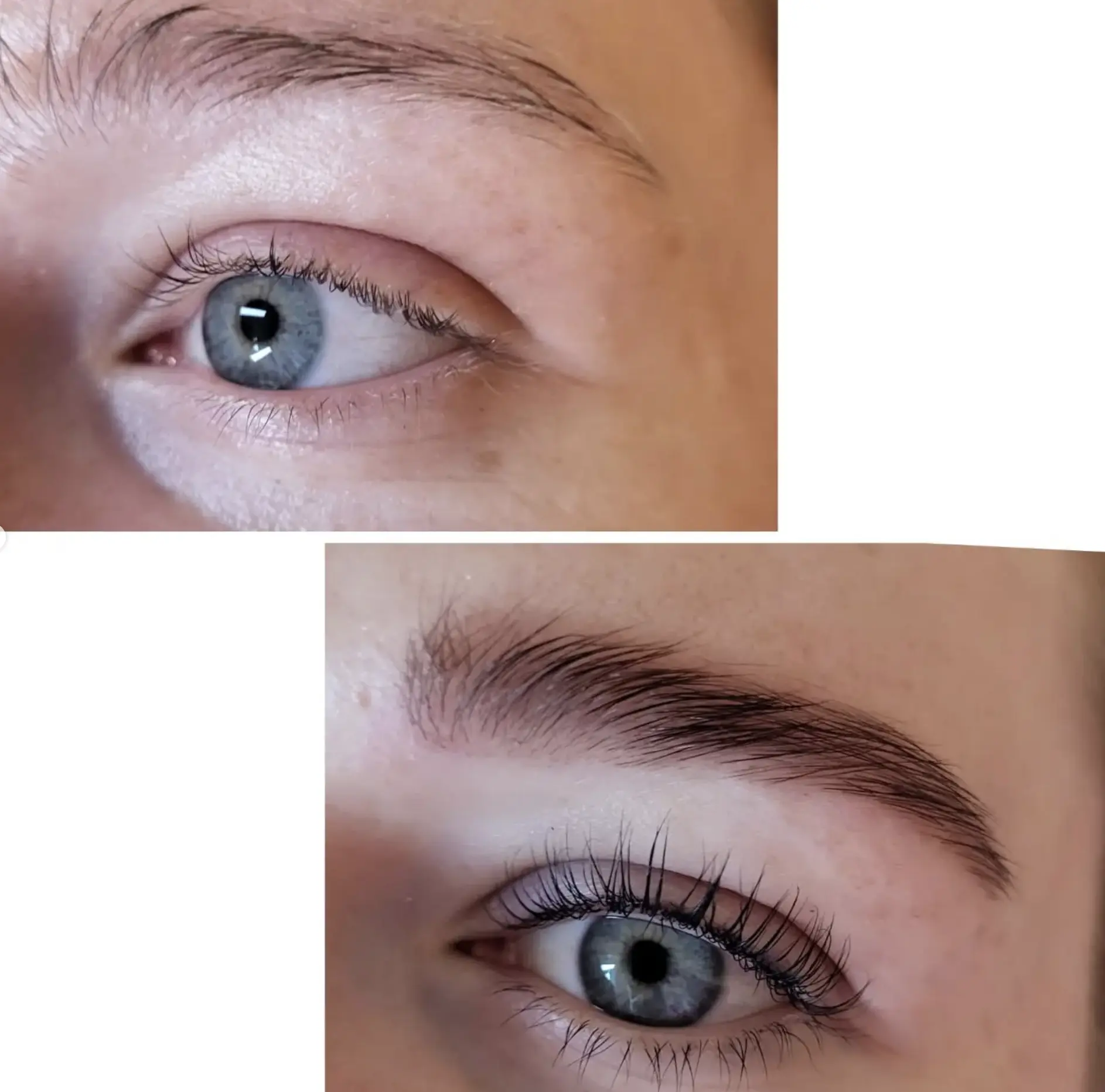 lash lift and lamination