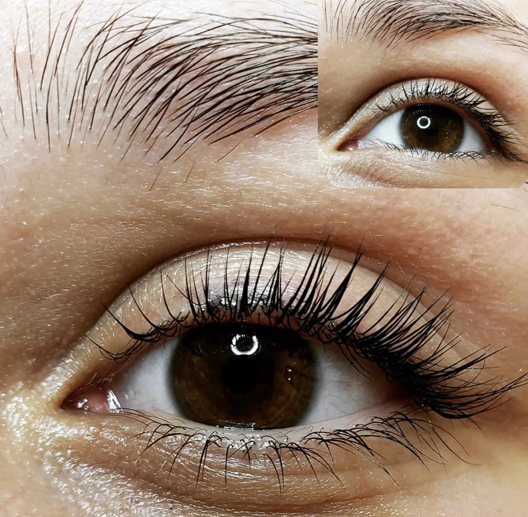 lash lift lamination brows