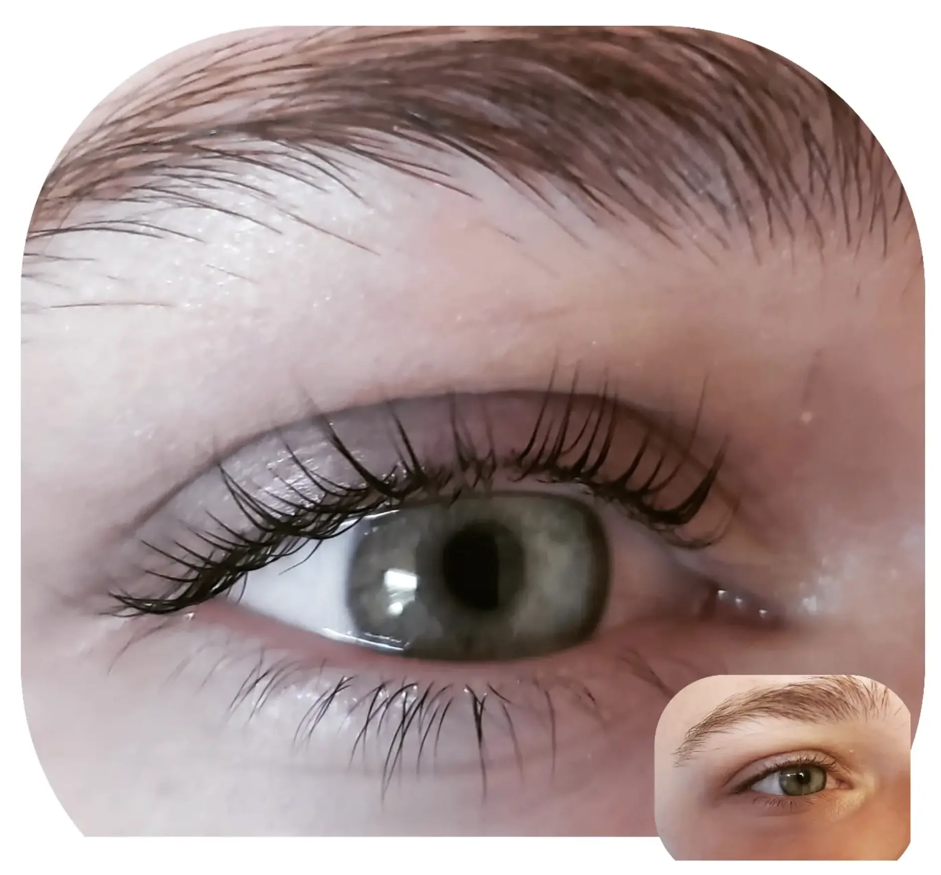 lash lift queen
