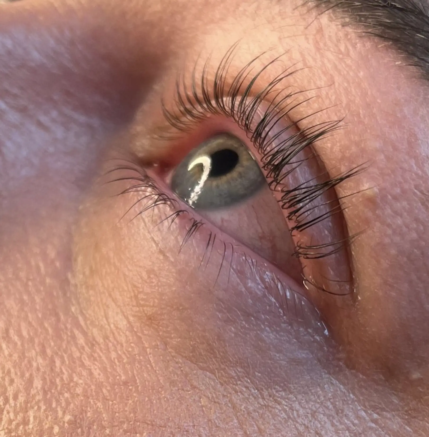 my lamination lash lift
