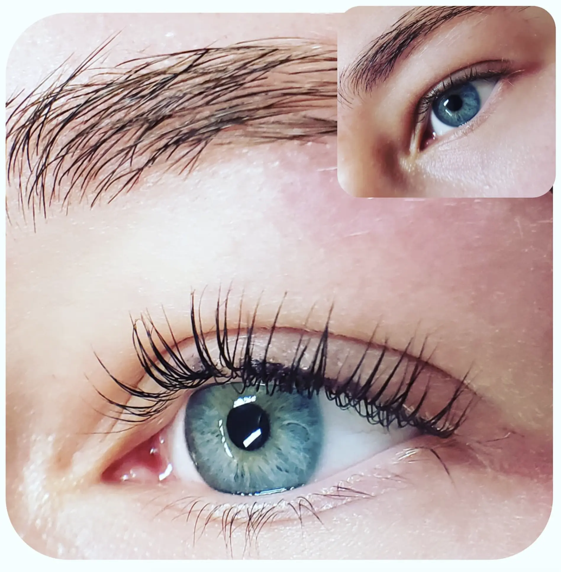 what is lash lamination and tint